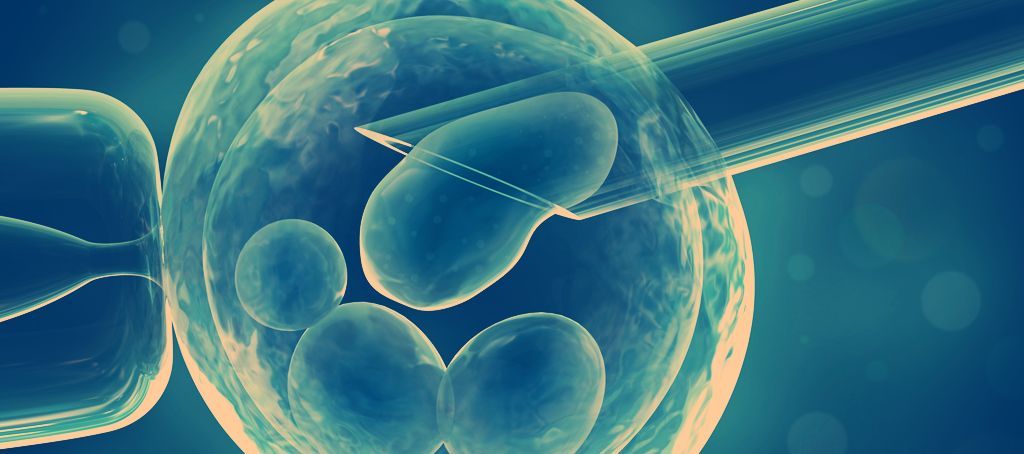 http://www.city-connect.org/wp-content/uploads/2013/08/IVF.jpg