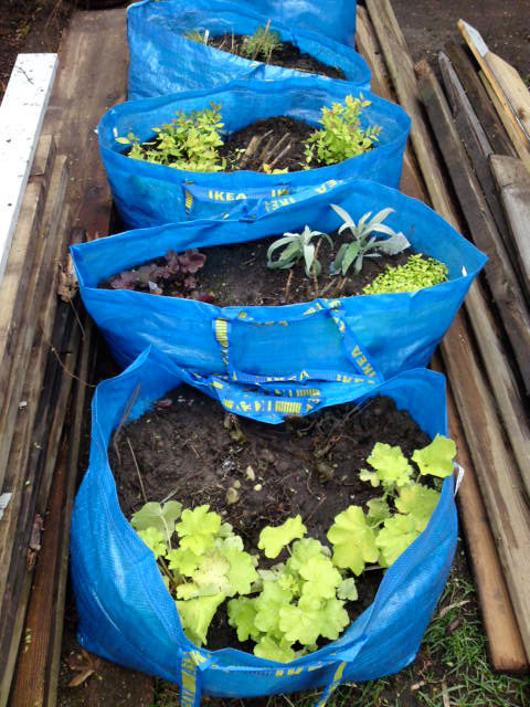 Composting and gardening via Ikea Hackers
