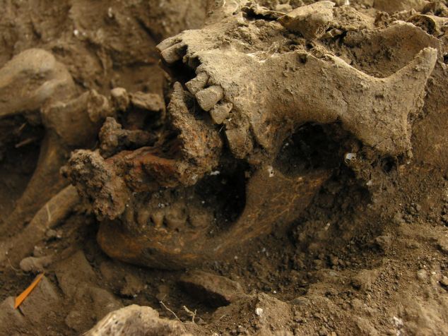 Image: http://www.dailymail.co.uk/news/article-2041671/800-year-old-remains-witch-discovered-graveyard-Tuscany-Italy.html