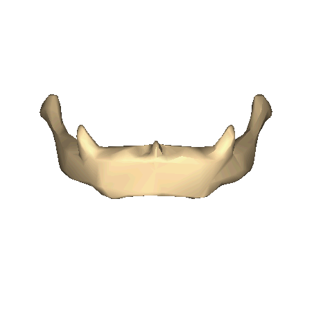 "Hyoid bone - close-up - animation" by Anatomography - en:Anatomography (setting page of this image). Licensed under Creative Commons Attribution-Share Alike 2.1-jp via Wikimedia Commons - http://commons.wikimedia.org/wiki/File:Hyoid_bone_-_close-up_-_animation.gif#mediaviewer/File:Hyoid_bone_-_close-up_-_animation.gif