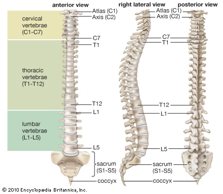 54757-004-1c3783cc
